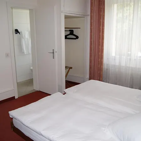 Hotel De La Paix 3*