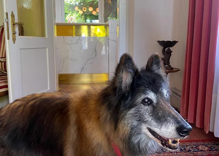 De La Paix Отель 3*