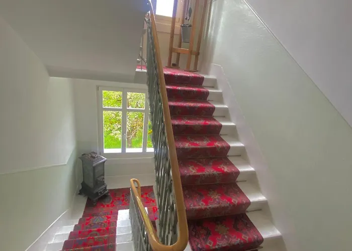 酒店 德拉帕克斯酒店 3*