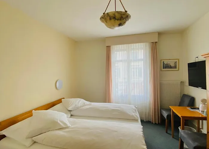 酒店 德拉帕克斯酒店 因特拉肯