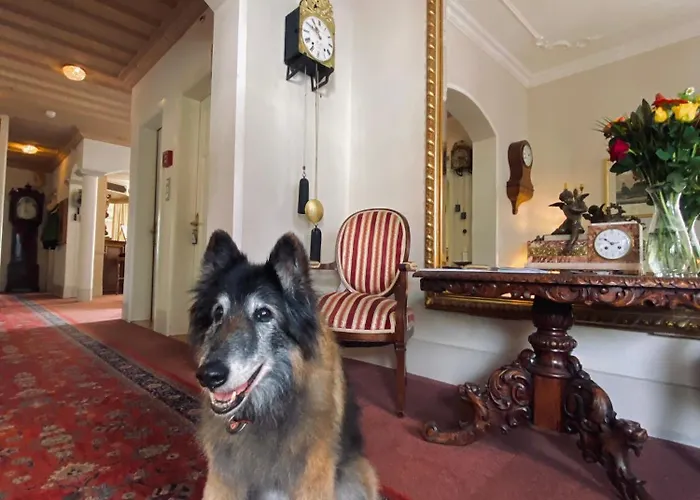 德拉帕克斯酒店 3*