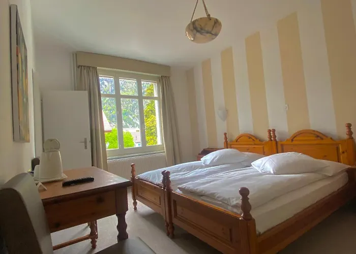 德拉帕克斯酒店 3* 因特拉肯