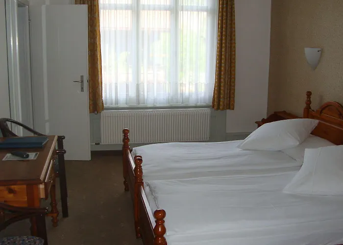 德拉帕克斯酒店 因特拉肯