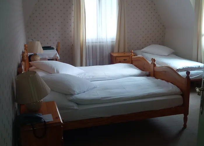 酒店 德拉帕克斯酒店 因特拉肯