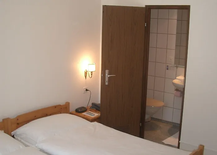 德拉帕克斯酒店 因特拉肯