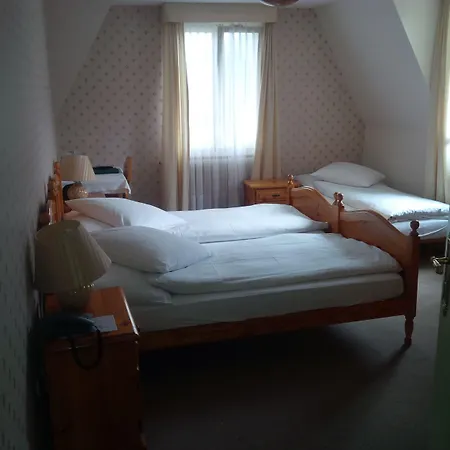 Otel De La Paix Interlaken