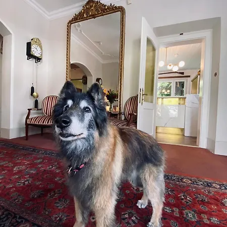 Szálloda De La Paix 3*