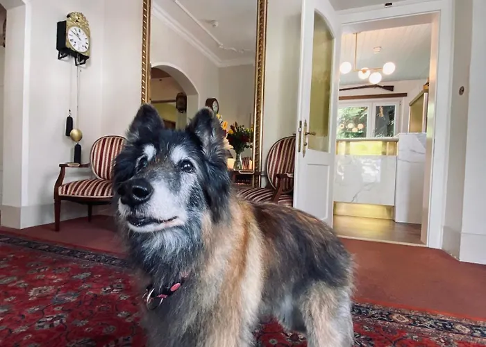 Szálloda De La Paix 3*